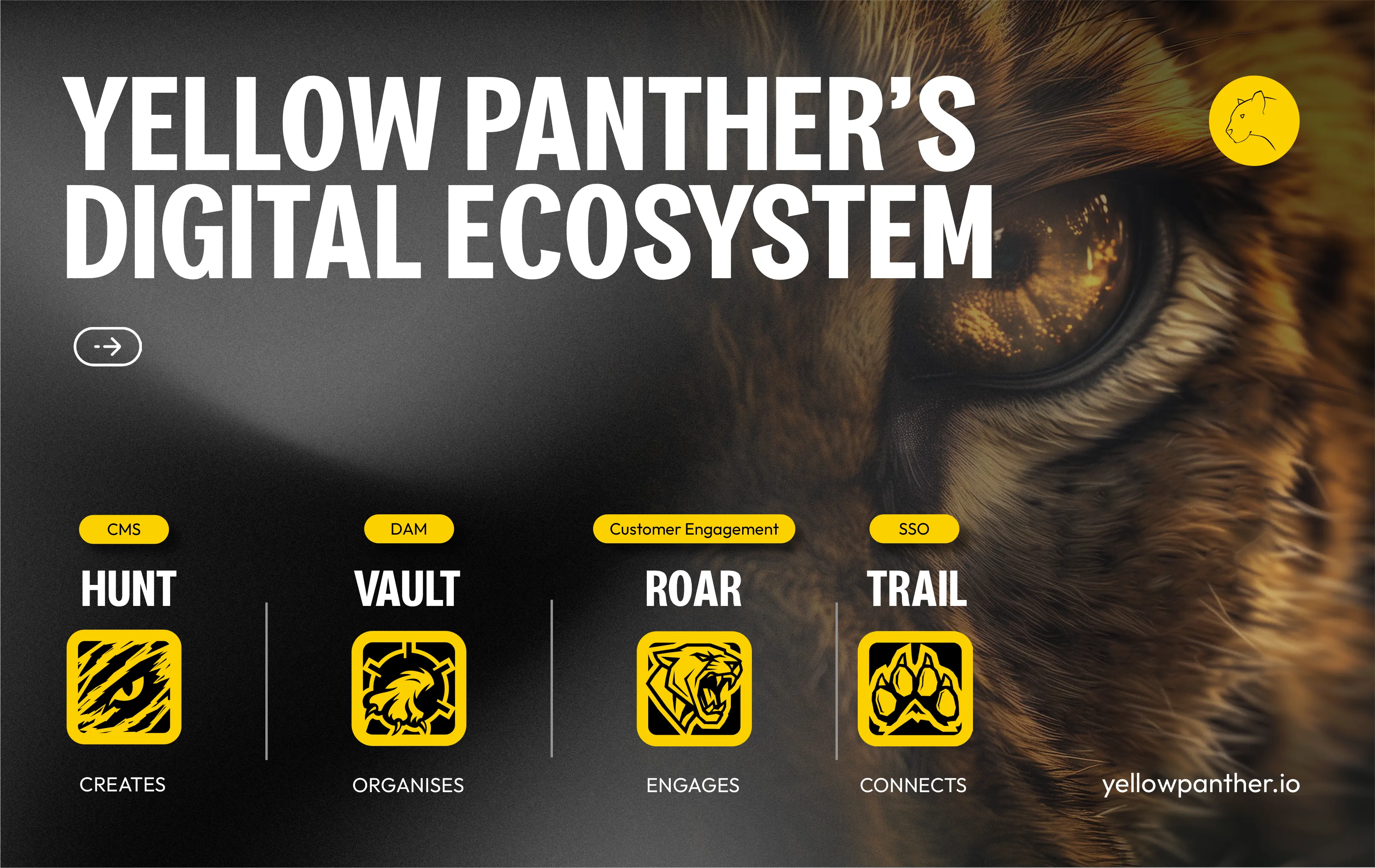Yellow Panther Solves "Tech Bloat" for Sports